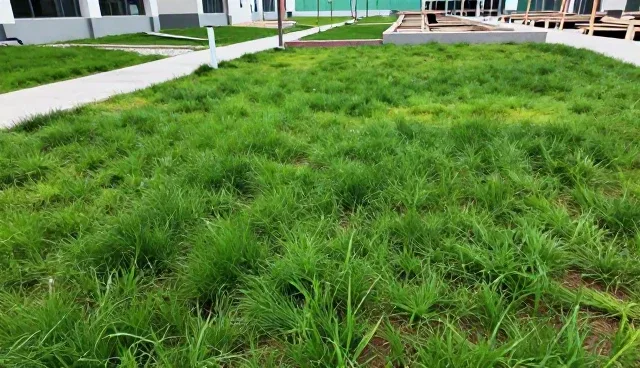 短视频推广精准投放的选型与使用建议